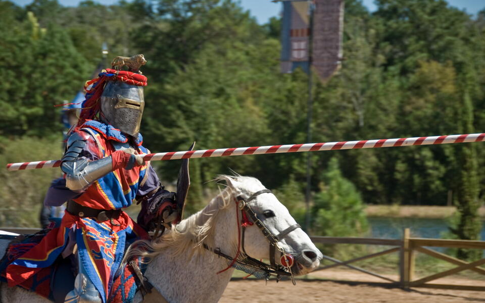 Embarquez dans la magie des spectacles du Puy du Fou