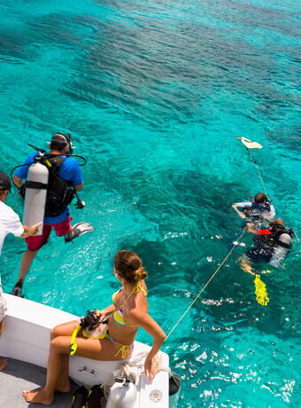 Saluer le Commandant Cousteau